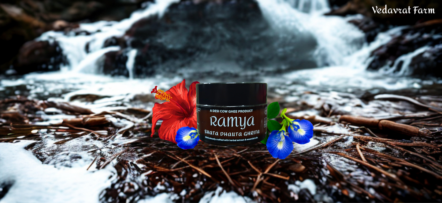 Rammya- Shata dhauta ghrita Infused with Herbal extract and essential oil -30gm