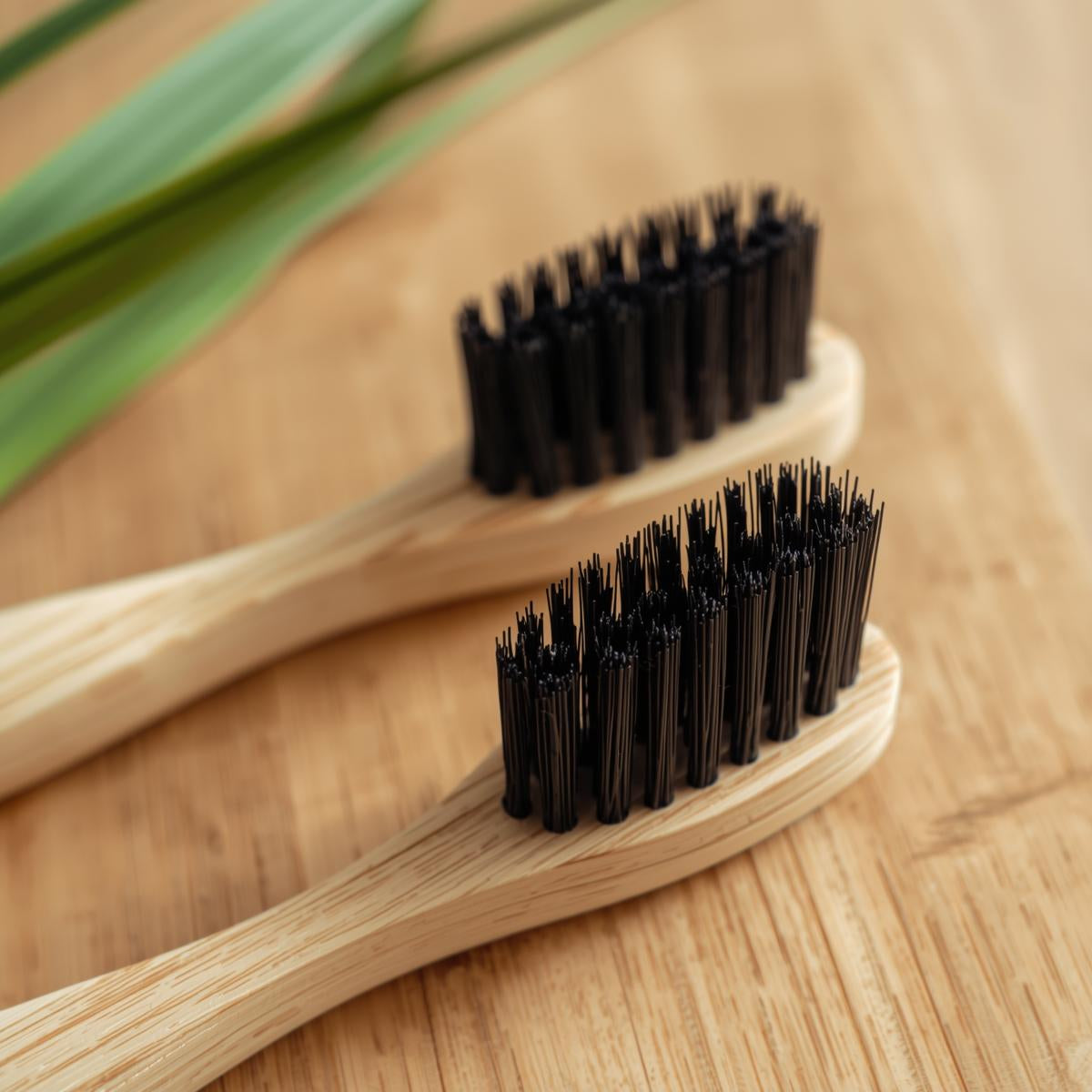 Activated Charcoal Bamboo Toothbrush set of 2