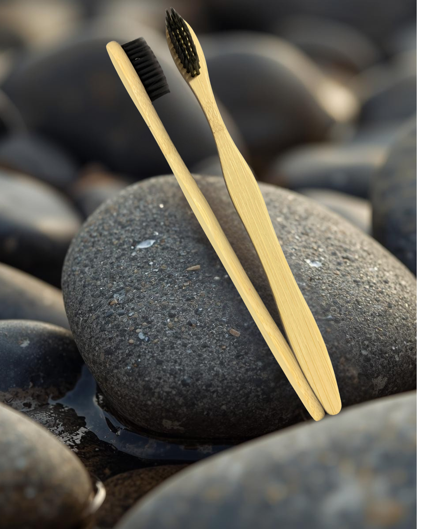 Activated Charcoal Bamboo Toothbrush set of 2