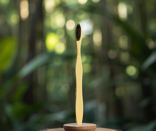 Activated Charcoal Bamboo Toothbrush set of 2